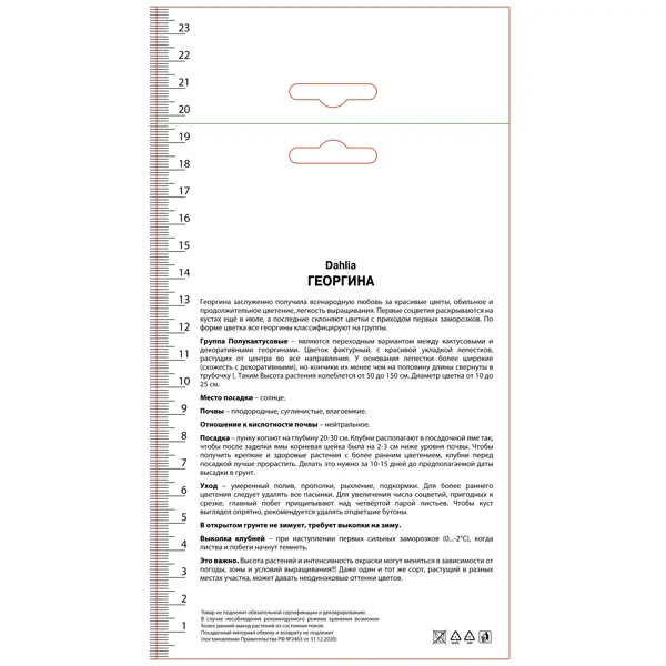 Георгина полукактусовая Электрик Флеш