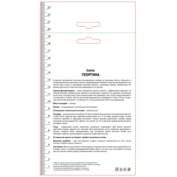 Георгина декоративная Принцесса Грация